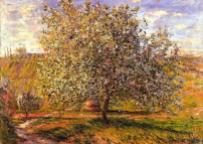 Tree in Flower near Vetheuil, 1879. Claude Monet. Impressionism. Beauty grows on trees!!!